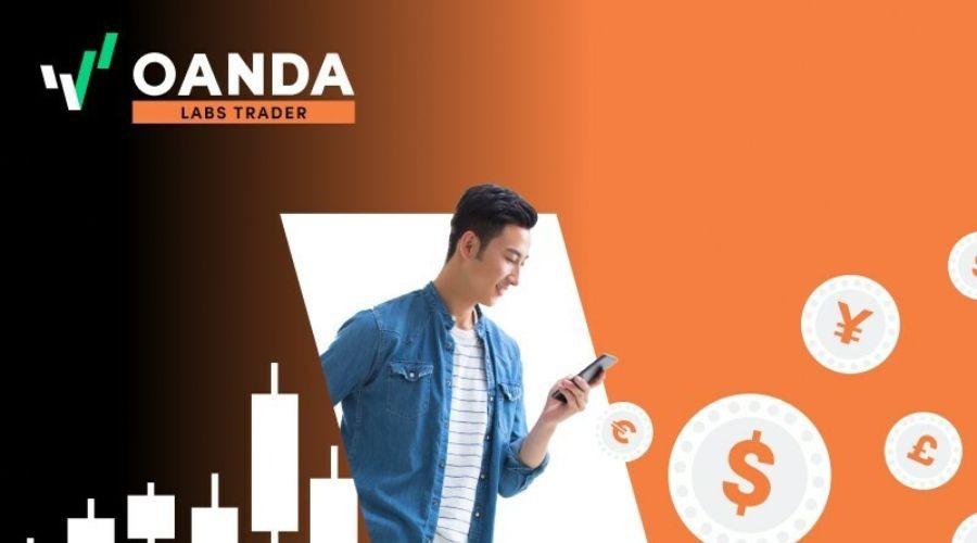 梅州中考成绩已出!高中学校录取分数线明日11时发布